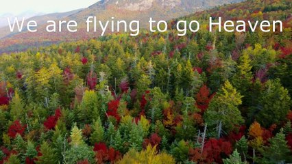 Top Beautiful Fall Autumn Forest