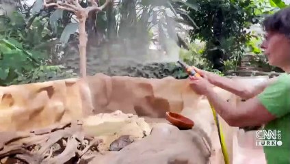 Hayvanlara buzlu ziyafet