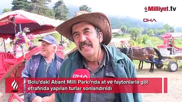 Abant Milli Parkı'nda fayton yasaklandı