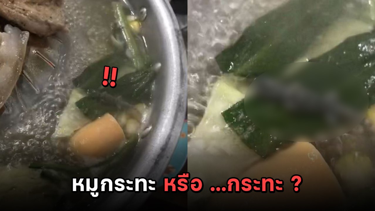 ของจริงไม่ใช่ตัวแสดง ! สาวกินหมูกระทะ ที่ไม่มีแ...