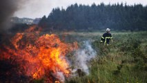 بسبب الحرائق.. إجلاء سكان إقليم لاجيروند في فرنسا