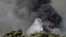 İtalya'da orman yangınlarında yaklaşık 400 hektar alan kül oldu