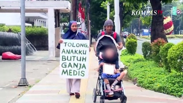 MK Tolak Uji Materi Legalisasi Ganja untuk Medis, Tapi Dorong untuk Kajian Mendalam