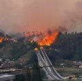 Son dakika gündem: İtalya'da orman yangınlarında yaklaşık 400 hektar alan kül oldu