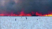 Espagne : la vidéo du héros de Tábara, encerclé par les flammes, émeut le monde