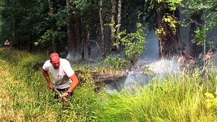 Download Video: Los incendios forestales ya han acabado con 20.000 hectáreas en la Gironda, Francia