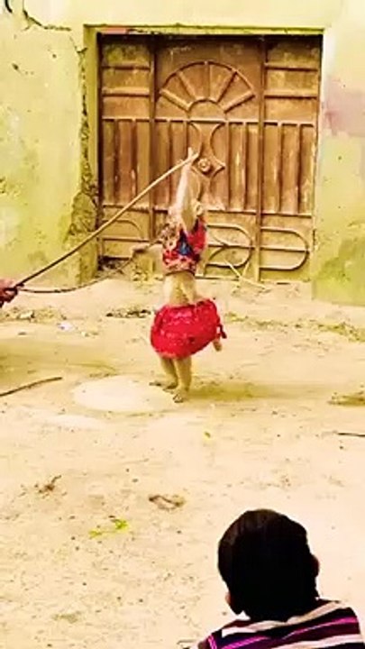 monkey is dancing