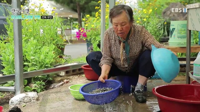한국기행 - Korea travel_저 너머, 그곳에 가면 3부- 여름 변산반도 기행_#002