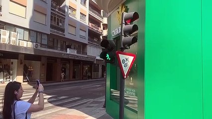 Leones rampantes en los semáforos