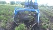 AFYONKARAHİSAR - Sandıklı'da yazlık patates hasadı başladı