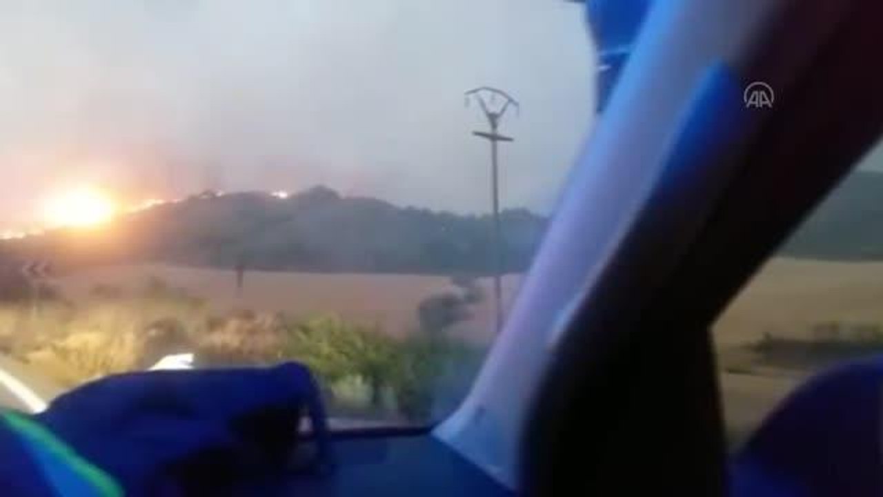 Avrupa'da orman yangınları etkisini sürdürüyor