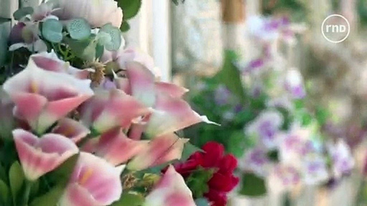 Portugal: Hitze forderte bereits mehr als 1000 Tote