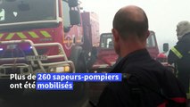 Incendies: 1.700 hectares de végétation brûlés en Bretagne