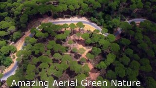 Top Amazing Aerial Green Nature