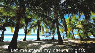 Top Beautiful Palm Tree & Ocean