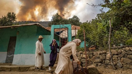 بعد الحرائق.. ما أوضاع سكان إقليم العرائش في المغرب؟