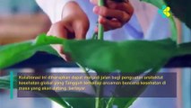 Indonesia-Uni Emirat Arab Jalin Kerja Sama Farmasi dan Alat Kesehatan