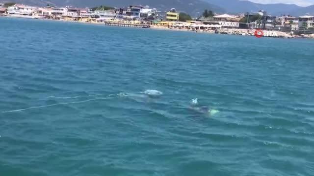 Balıkesir Akçay'da tekne battı: 1 kişi kurtuldu, 2 kişi kayıp