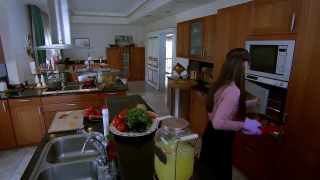 Yaralı Kuşlar Bölüm 24 | Wounded Birds Episode 24