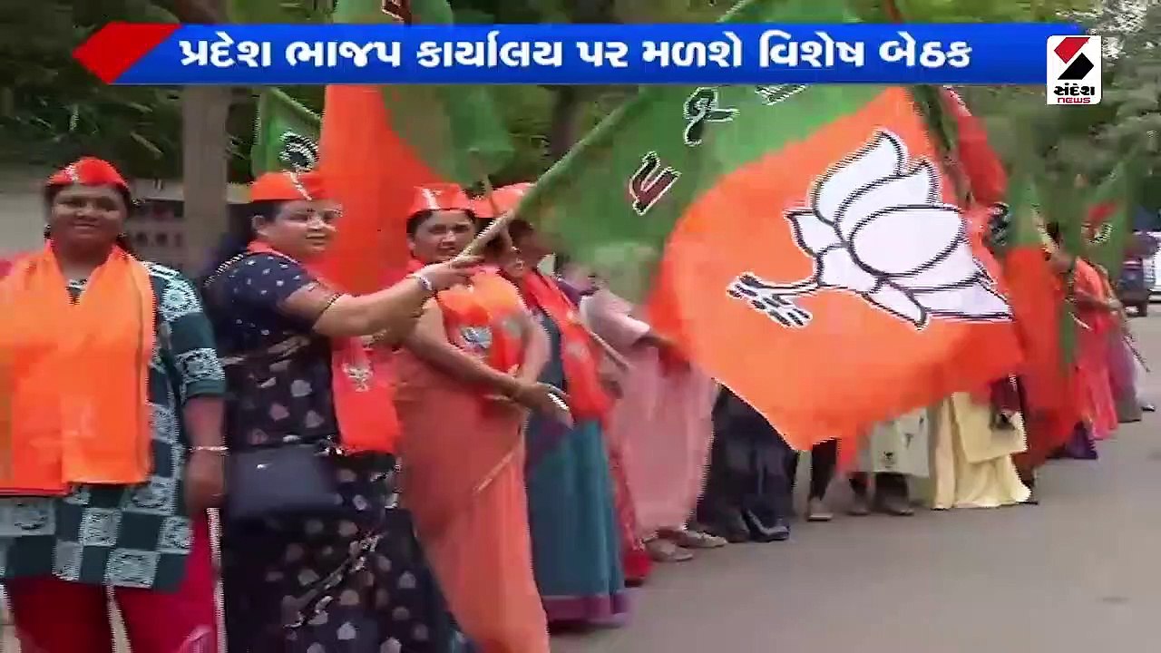 પ્રમુખ પદે સી.આર.પાટીલના બે વર્ષ પૂર્ણ, ભાજપ દ્...