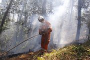 Incendio Monte Serra, 