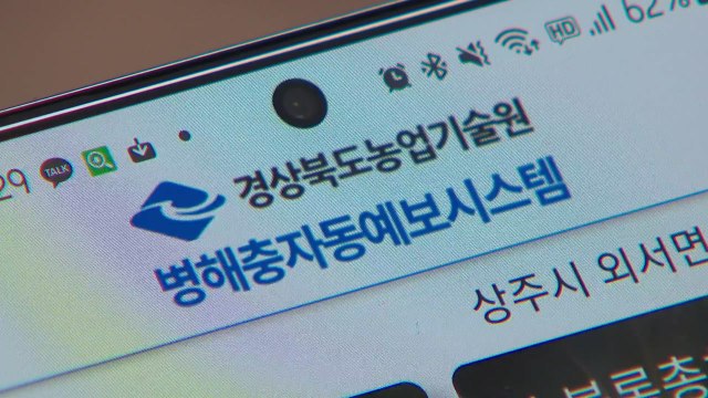 [경북] 경북, 농작물 병해충 자동예보시스템 앱 보급 / YTN