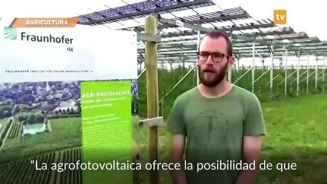 Alemania: usan paneles solares para cultivar frutas