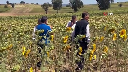 Yenişehir Belediyesi'nden 'tırtıl' operasyonu