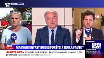 Incendies en Gironde : Julien Bayou s'emporte contre Olivier Truchot sur BFMTV