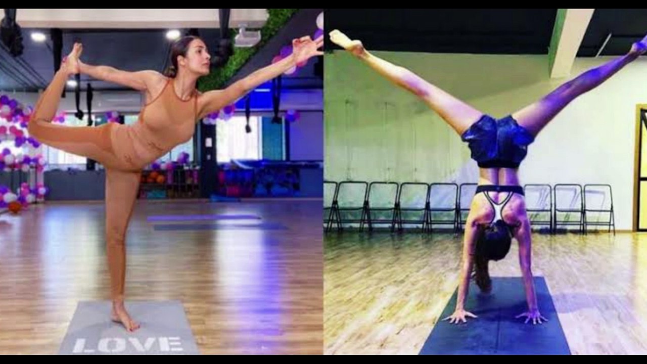 malaika hai sab par bhari  l bollywood news l latest bollywood news l live news with pooja l live