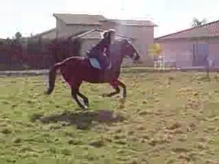 Jason en parcours improvisée..