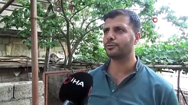 Bu tavuğu görenler gözlerine inanamıyor