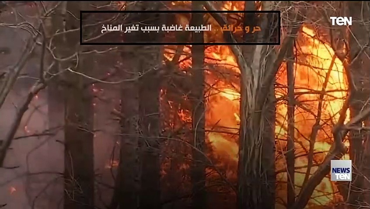رئة الأرض تحترق وتحذيرات من "انتحار جماعي للبشرية"