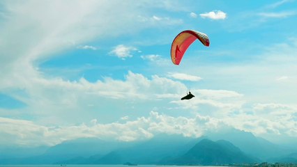 Pexels Videos 2324274.mp4