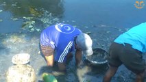 Traditional Fishing Video -Village Boy Catching Fish by Hand From Mud Water in the Canel