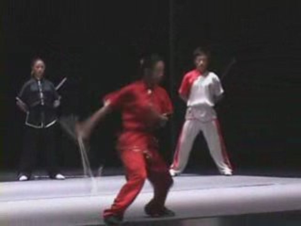 Beijing Wushu Team. 6eme