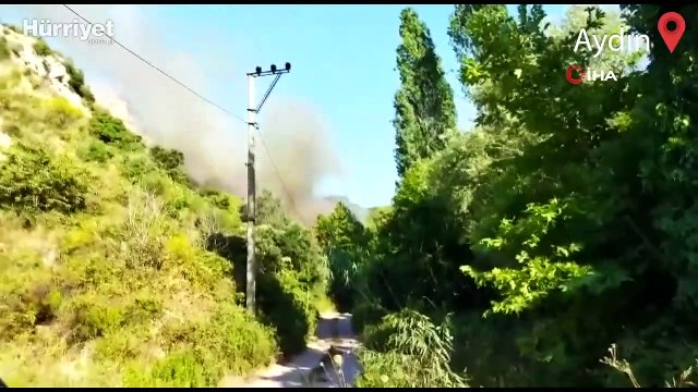 Aydın’ın Söke ilçesindeki orman yangını kontrol altına alındı
