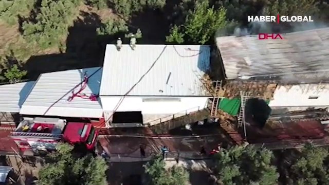 Bursa'da bir çift alevlere teslim oldu, çok sayıda kanatlı ve küçükbaş hayvan hayatını kaybetti