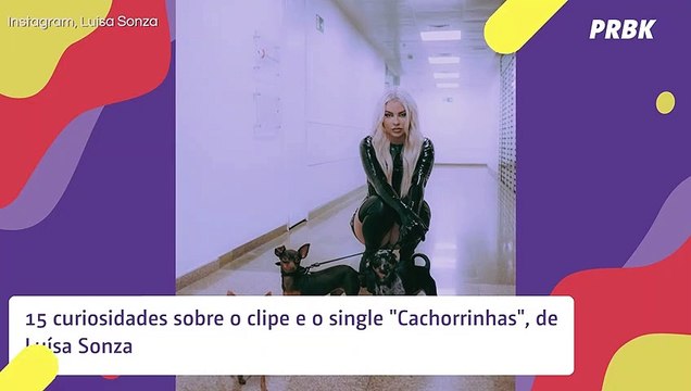 Luísa Sonza e Cachorrinhas : 15 curiosidades sobre a música e o clipe