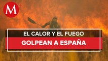 Por incendios forestales, hay más de 60 mil hectáreas afectadas en España