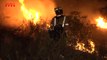 El 20% de los incendios que asolan España son intencionados