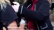 Luísa Mell resgata cachorro em mansão da 'Mulher da Casa Abandonada'