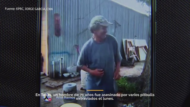 Un hombre de 71 años fue mutilado hasta la muerte por varios pitbulls callejeros