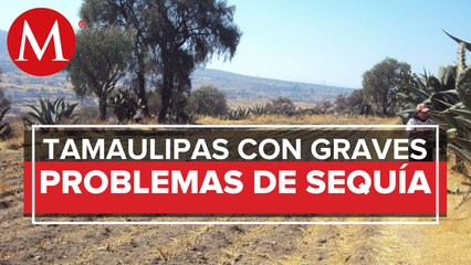 Empeora la sequía en Tamaulipas y pega a 32 municipios: Conagua