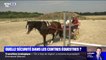 Accident de poneys dans le Finistère: quelles sont les règles à adopter pour faire du cheval en toute sécurité?