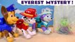 Toy Paw Patrol Everest MYSTERY Story