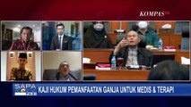 Sejumlah Negara Legalkan Pemanfaatan Ganja untuk Medis, Mengapa Indonesia Tidak?