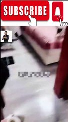 Animal Funny Videos: Funny Animal's | Thug Tohid #shorts