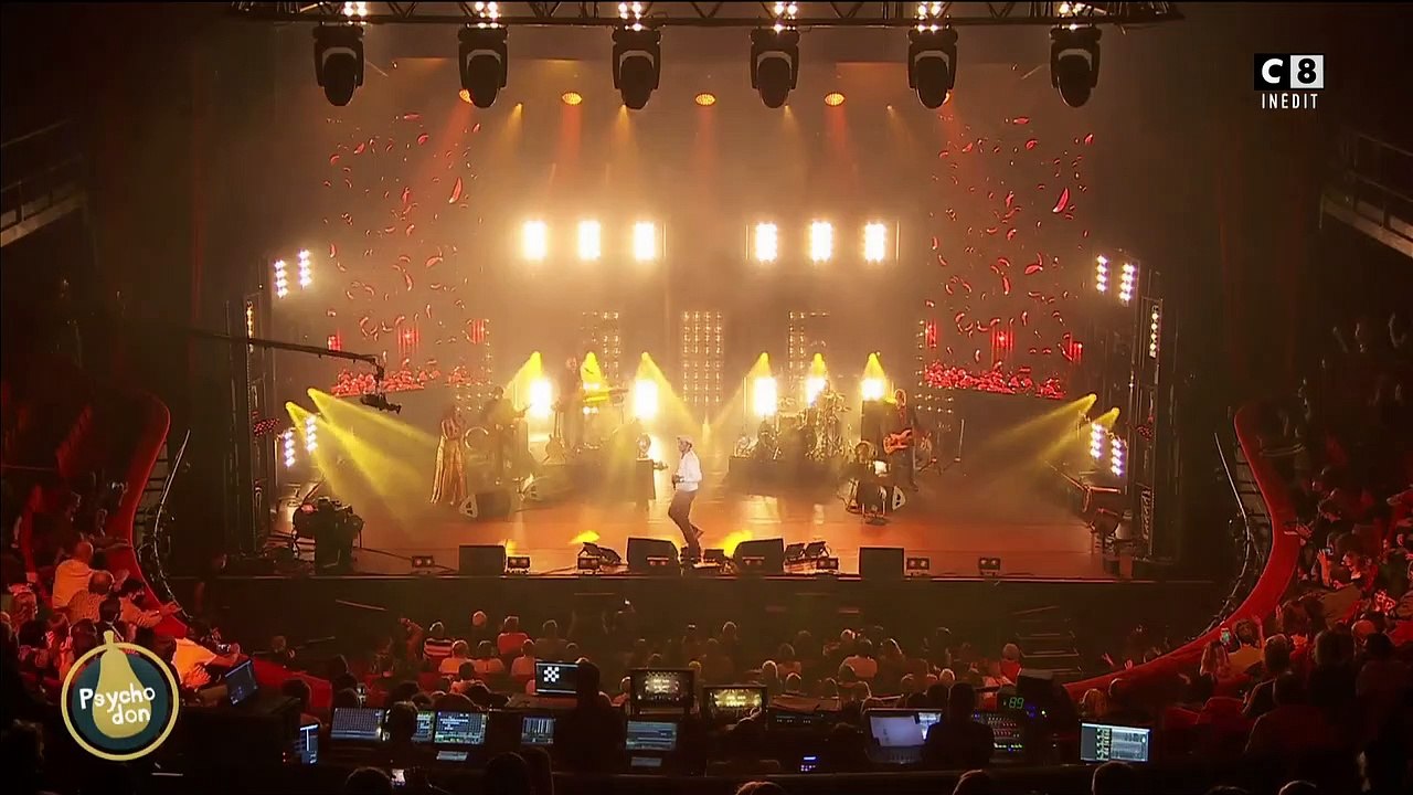 Yannick Noah chante "Les lionnes" en live