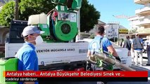 Antalya haberi... Antalya Büyükşehir Belediyesi Sinek ve Haşereyle Mücadeleyi Sürdürüyor